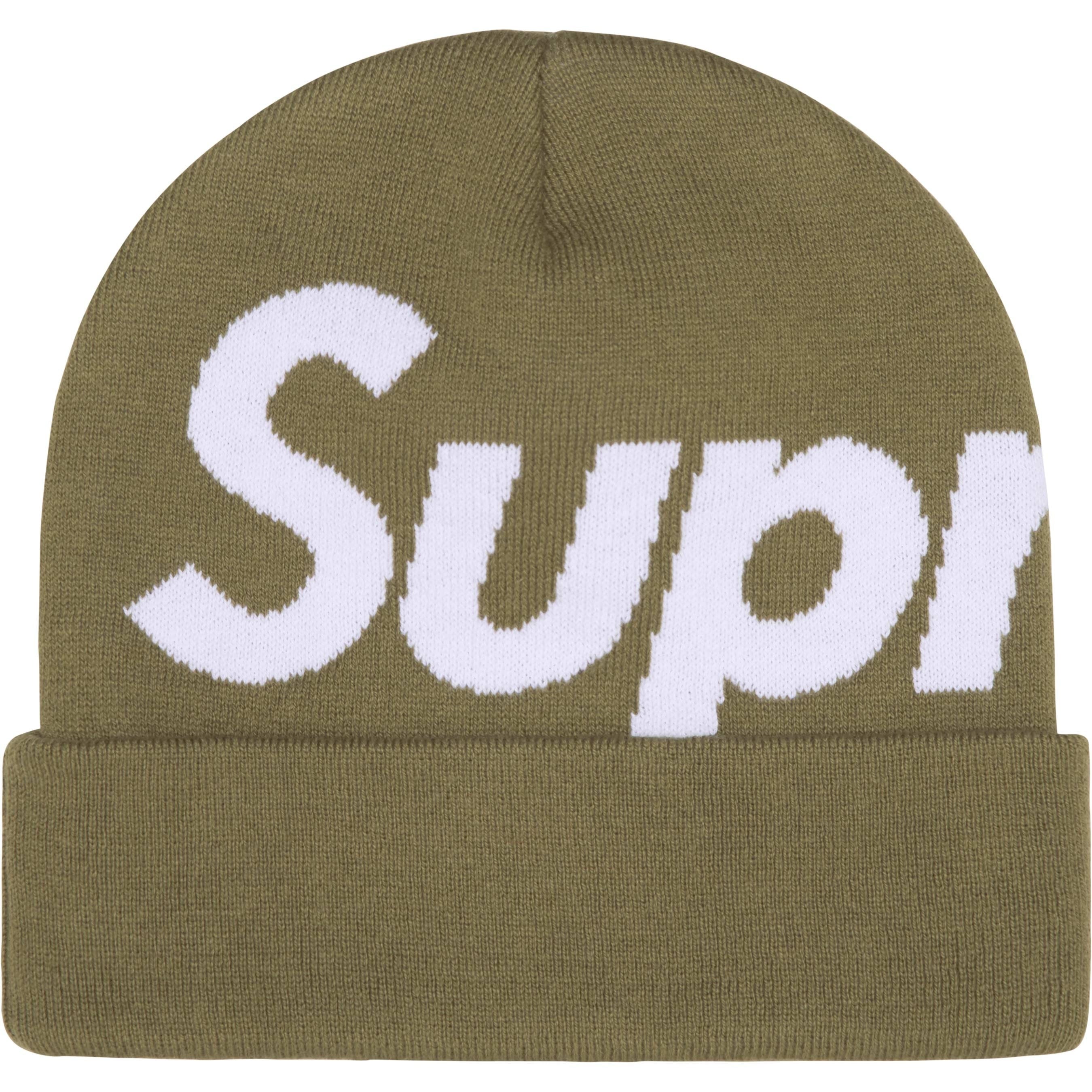 Big Logo Beanie view 19
